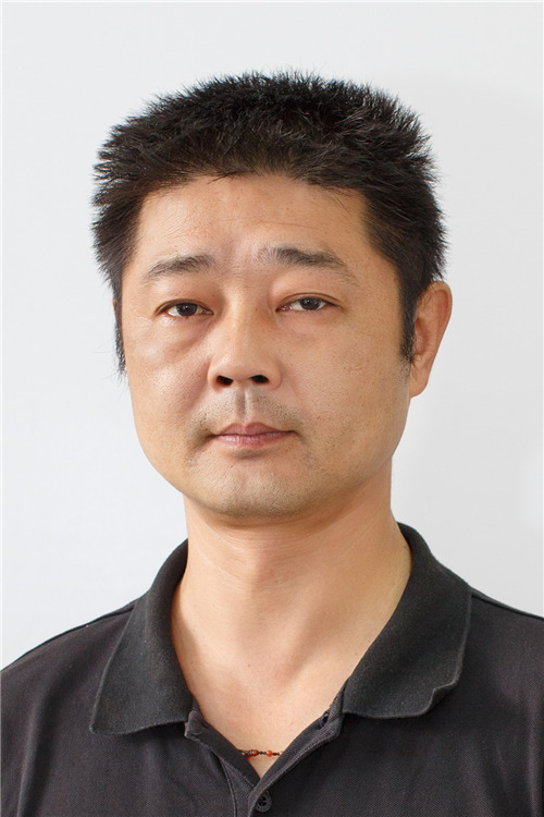 叶松 叶松